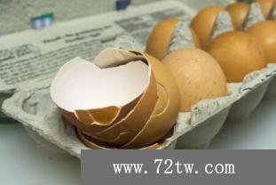 用雞蛋殼製作肥料的四種方法，可將雞蛋殼發酵或烘烤後磨成粉末
