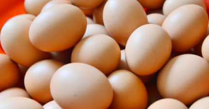 土雞蛋與洋雞蛋的區別
