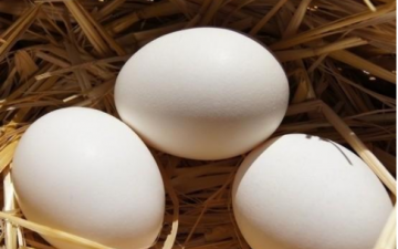 土雞蛋的營養價值，土雞蛋的適合人群
