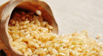 糙米是什麼米